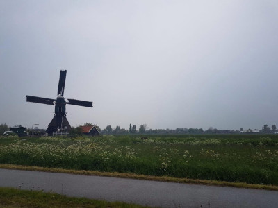 Holanda
